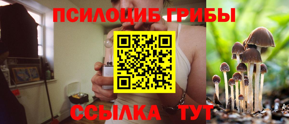 Галлюциногенные грибы прущие грибы Костомукша